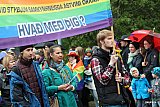 Gle&eth;iganga Hinsegin daga 2015