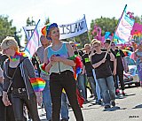 Gle&eth;iganga Hinsegin daga 2014