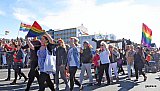 Gle&eth;iganga Hinsegin daga 2014
