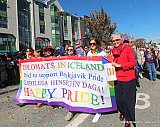 Gle&eth;igangan / Reykjavik Pride 2025 svipmyndir