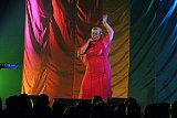Pride opnunarh&aacute;t&iacute;&eth; 2016