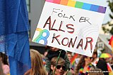 Gle&eth;igangan / Reykjavik Pride 2024 svipmyndir 