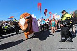 Gle&eth;igangan / Reykjavik Pride 2025 svipmyndir