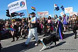 Gle&eth;igangan / Reykjavik Pride 2025 svipmyndir